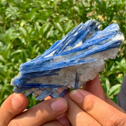 Natural Kyanite Rough Stones Reiki Crystal Gemstone Kyanite Specimens for Healing Wicca  Spiritual  Gifts