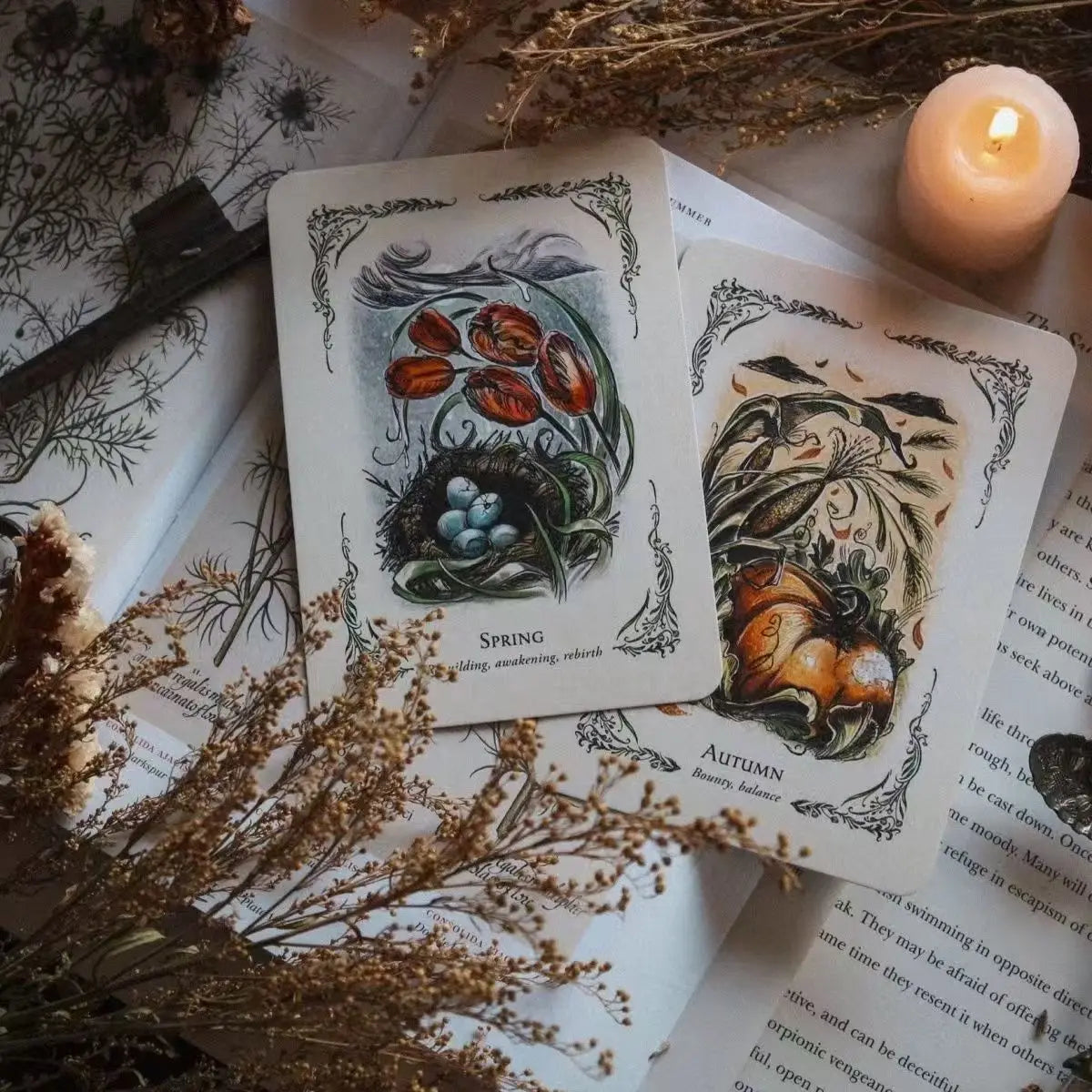 The Green Witch's Oracle Tarot Deck Embrace the Wisdom and Insight of Natural Magic Green Witch Witchcraft Series Party Toy Game